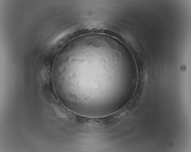 X0000111231063200907091330
