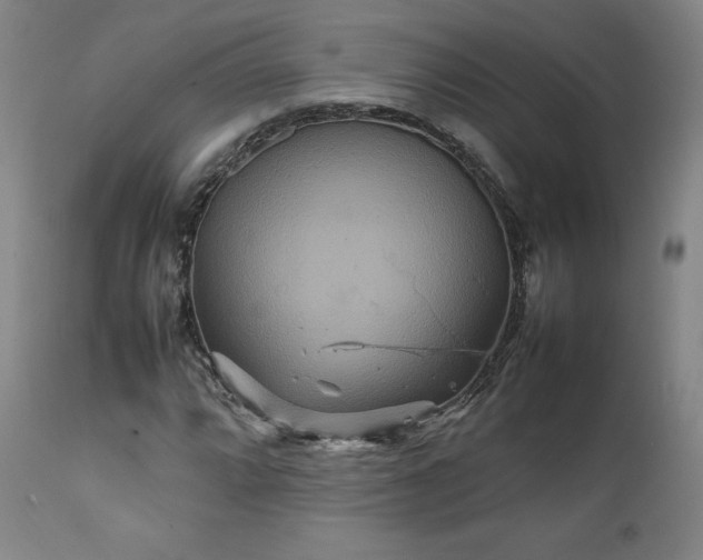 X0000111231064200907091330