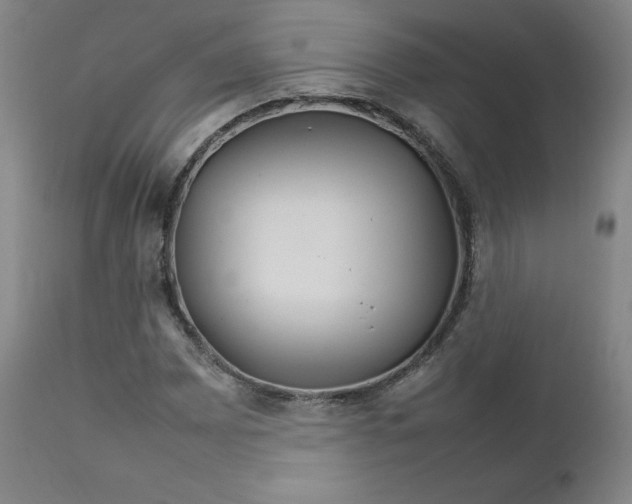 X0000111231065200907091330
