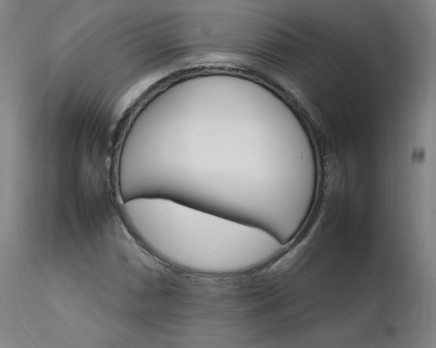 X0000111231066200907091330