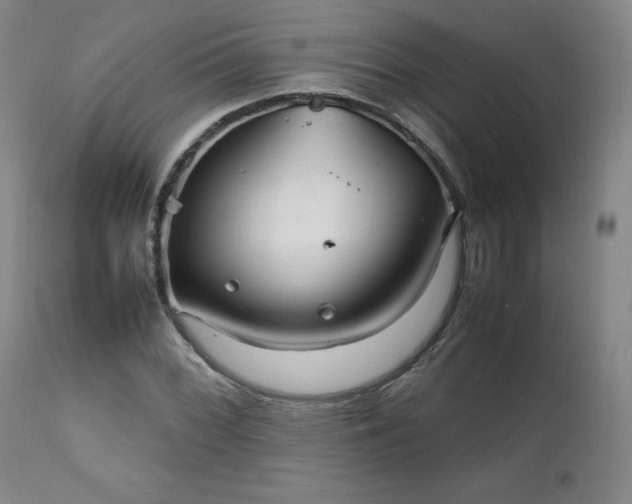X0000111231068200907091330