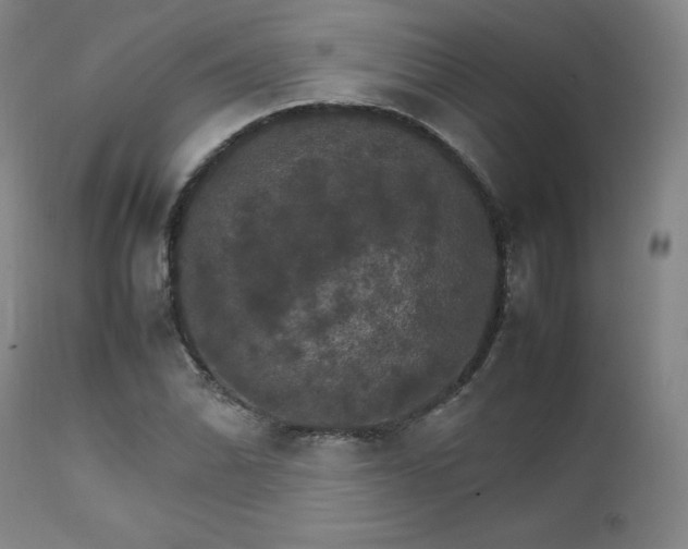 X0000111231070200907091330
