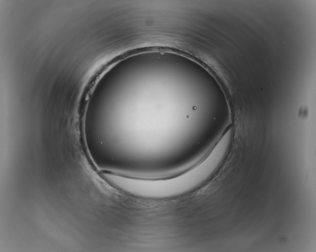 X0000111231072200907091330