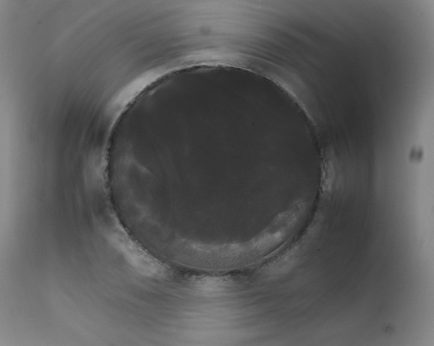 X0000111231074200907091330