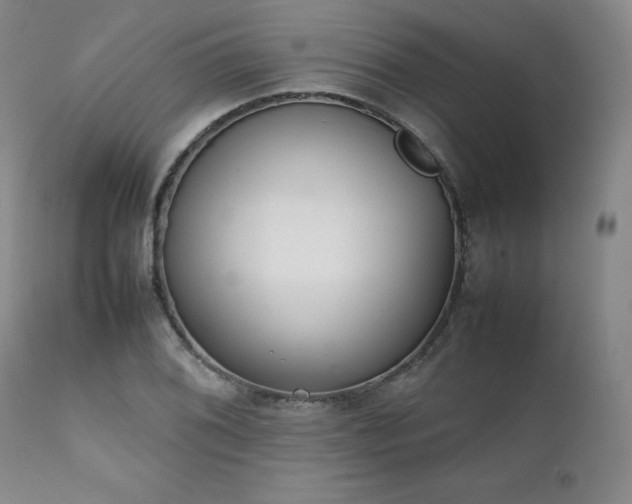 X0000111231076200907091330