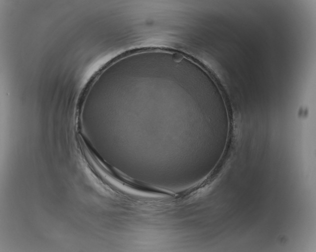 X0000111231077200907091330