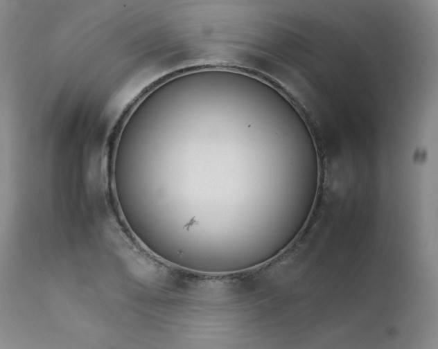 X0000111231078200907091330