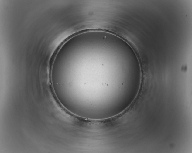 X0000111231079200907091330