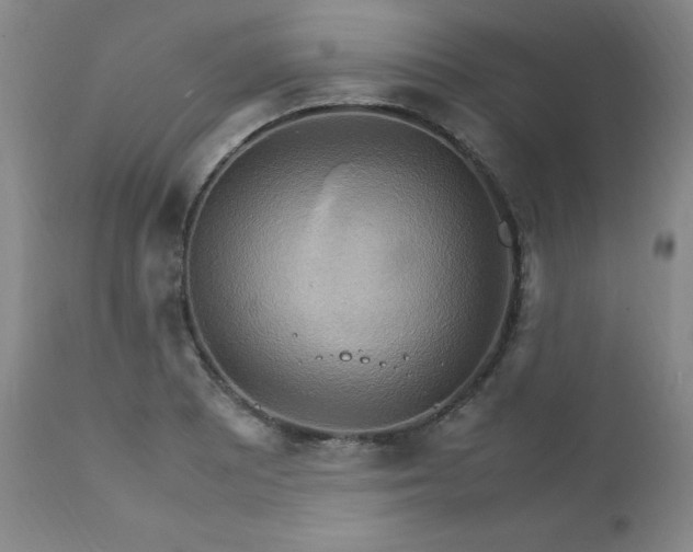 X0000111231081200907091330