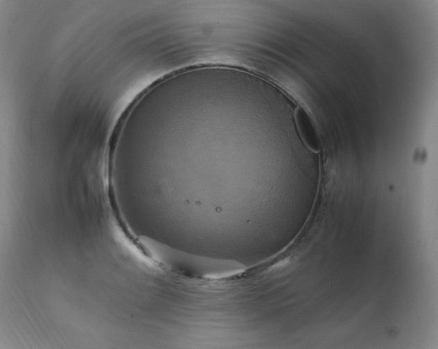 X0000111231084200907091330