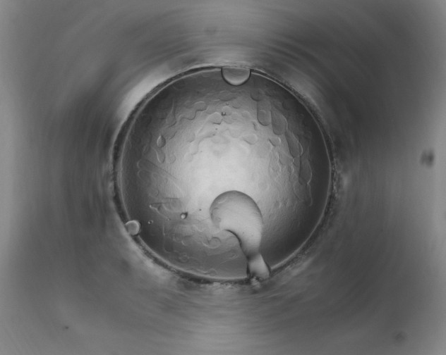 X0000111231087200907091330