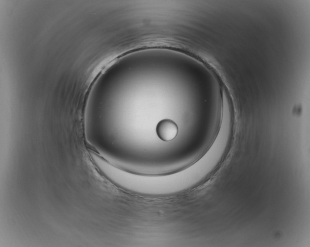X0000111231089200907091330