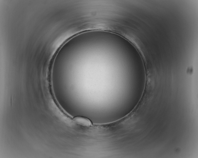 X0000111231091200907091330