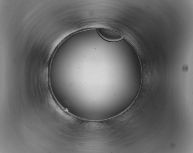 X0000111231092200907091330