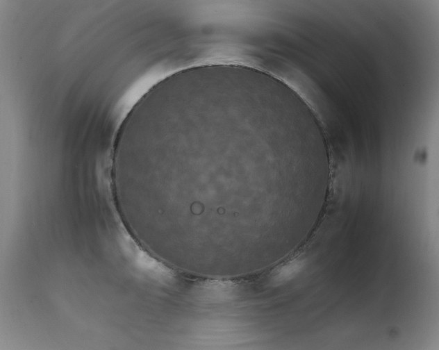 X0000111231094200907091330