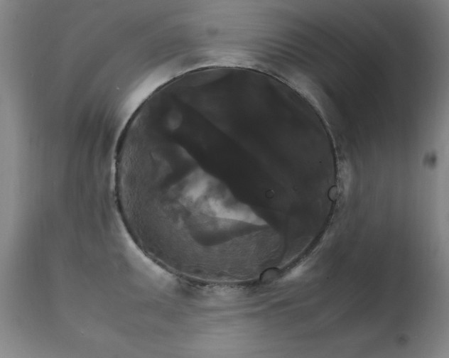 X0000111231095200907091330