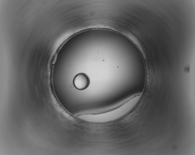 X0000111231096200907091330