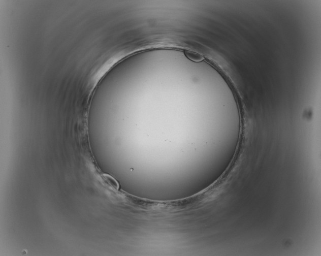 X0000111231097200907091330