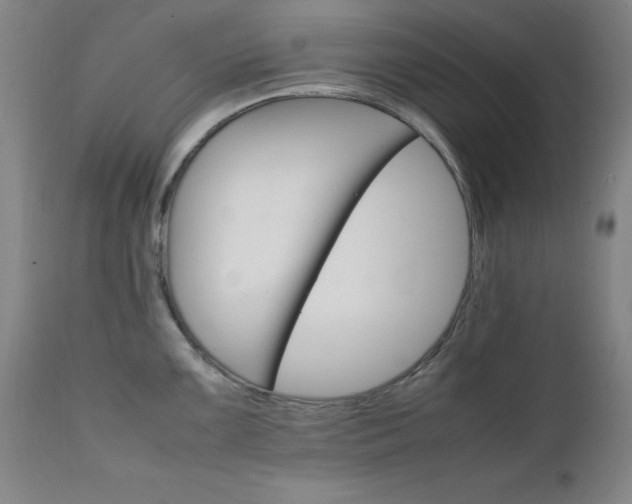 X0000111231099200907091330