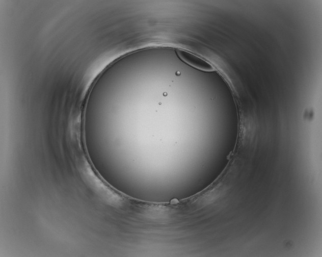 X0000111231100200907091330