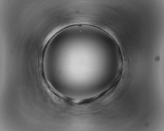 X0000111231101200907091330