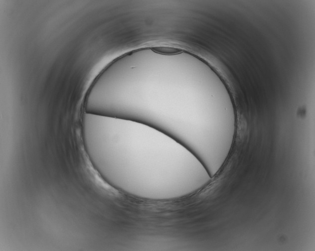 X0000111231102200907091330