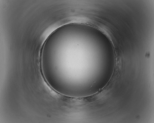 X0000111231103200907091330
