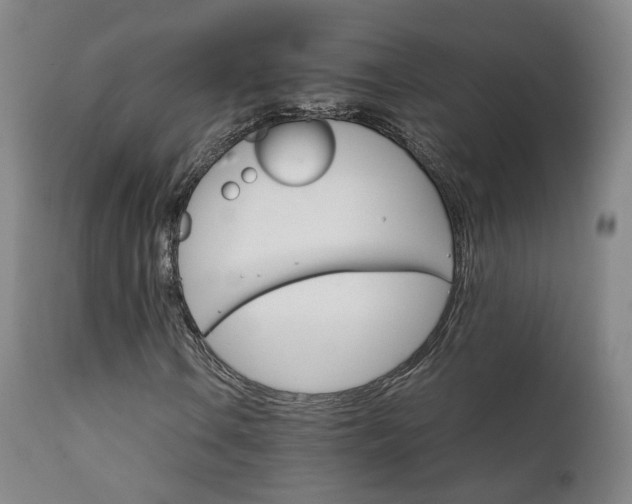 X0000111231106200907091329