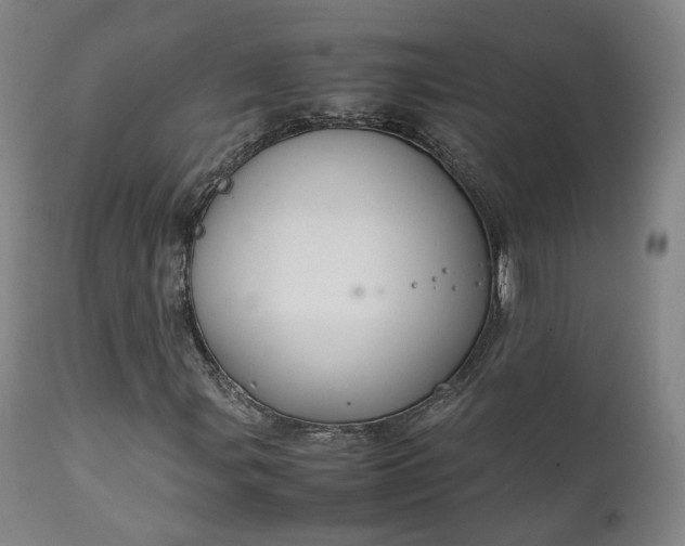 X0000111231107200907091329