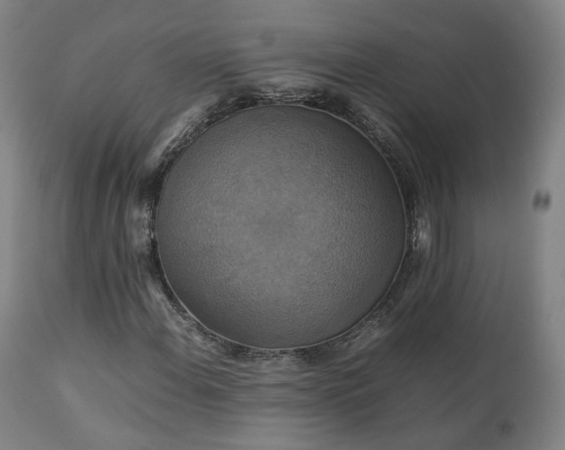 X0000111231108200907091329