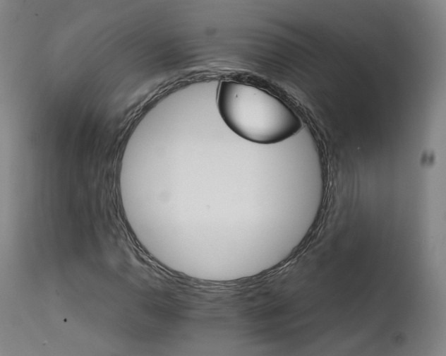 X0000111231110200907091329