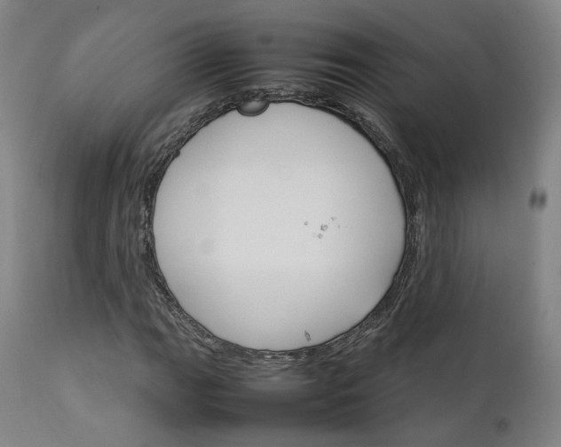 X0000111231111200907091329