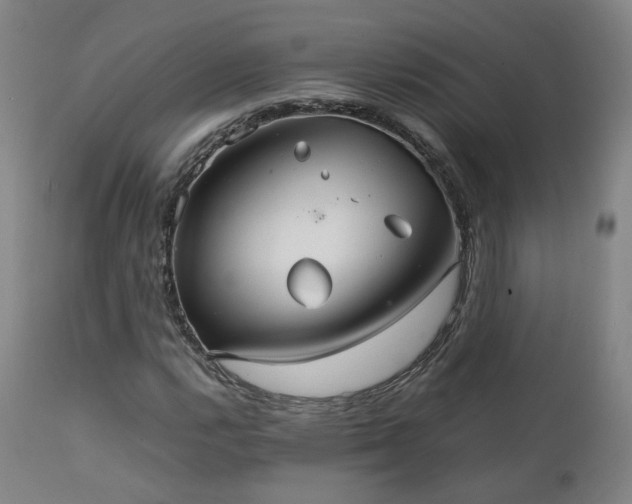X0000111231112200907091329