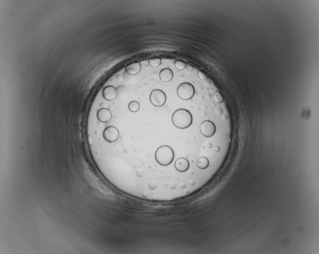 X0000111231113200907091329