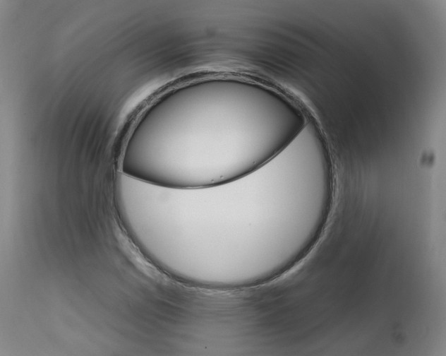 X0000111231114200907091329