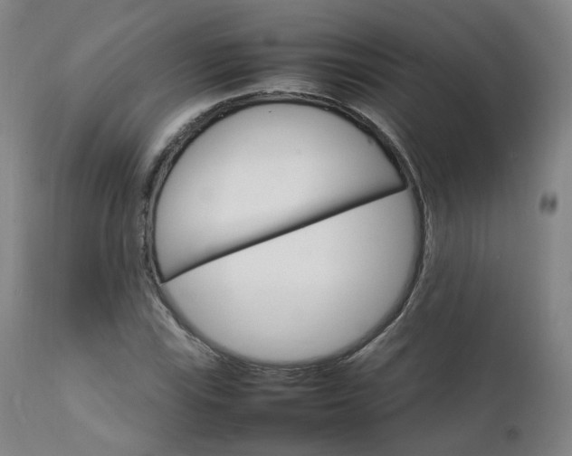 X0000111231115200907091329