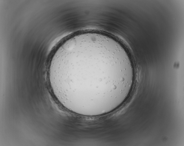 X0000111231117200907091329