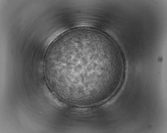 X0000111231121200907091329