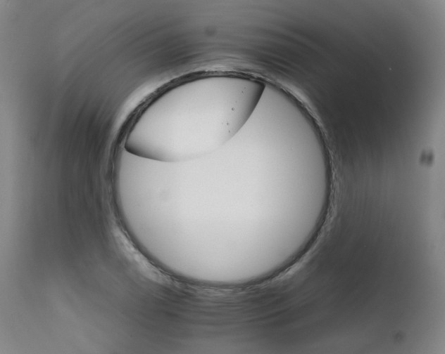 X0000111231122200907091329