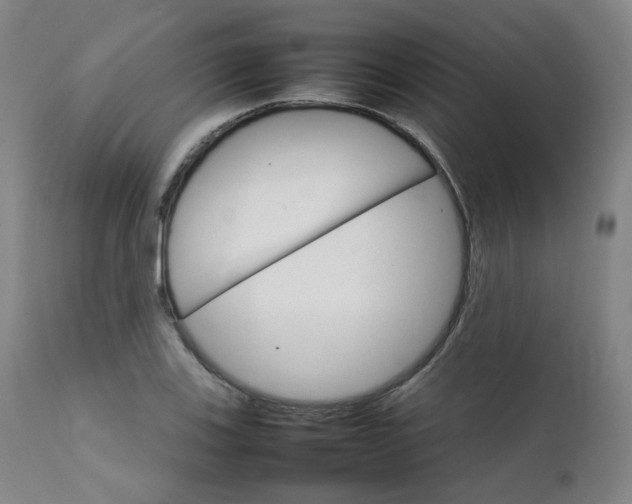 X0000111231123200907091329