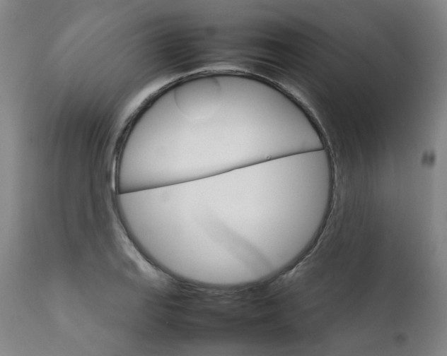 X0000111231127200907091329