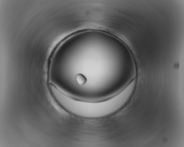 X0000111231128200907091329