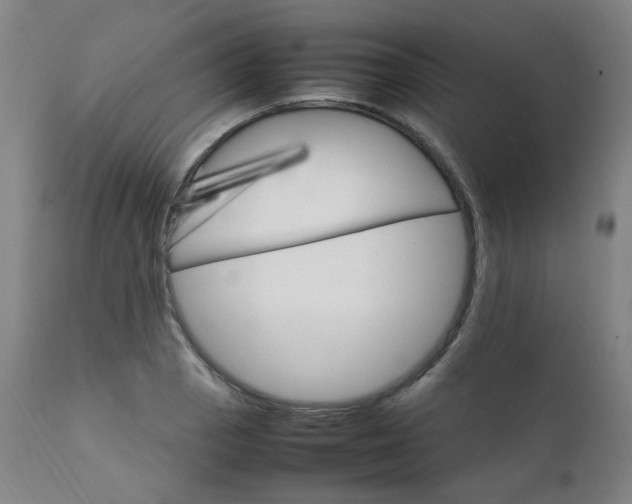 X0000111231129200907091329