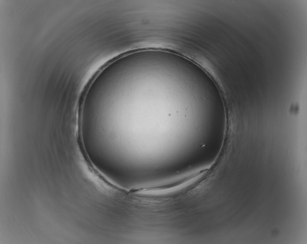 X0000111231132200907091329