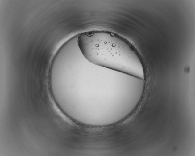 X0000111231134200907091329