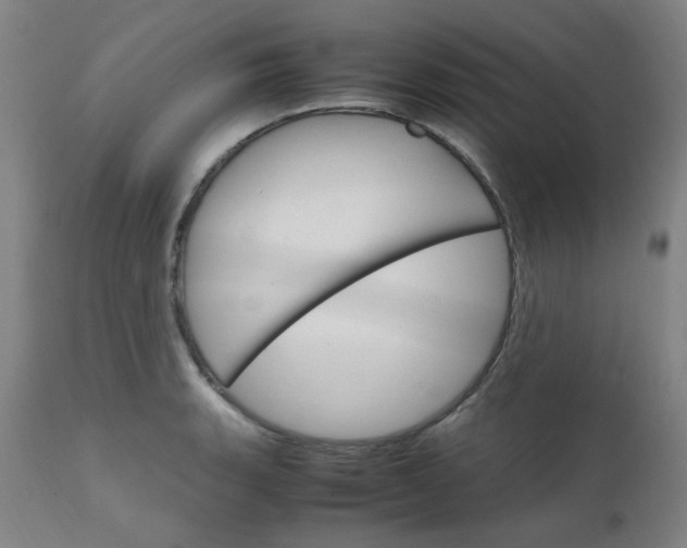 X0000111231135200907091329