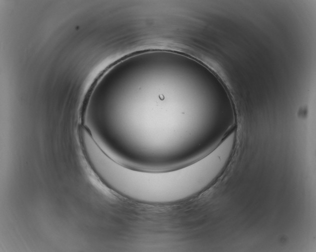 X0000111231136200907091329