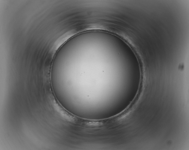 X0000111231137200907091329