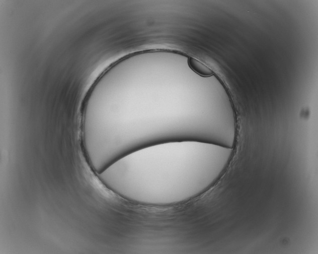 X0000111231140200907091330