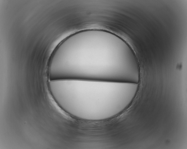 X0000111231142200907091330